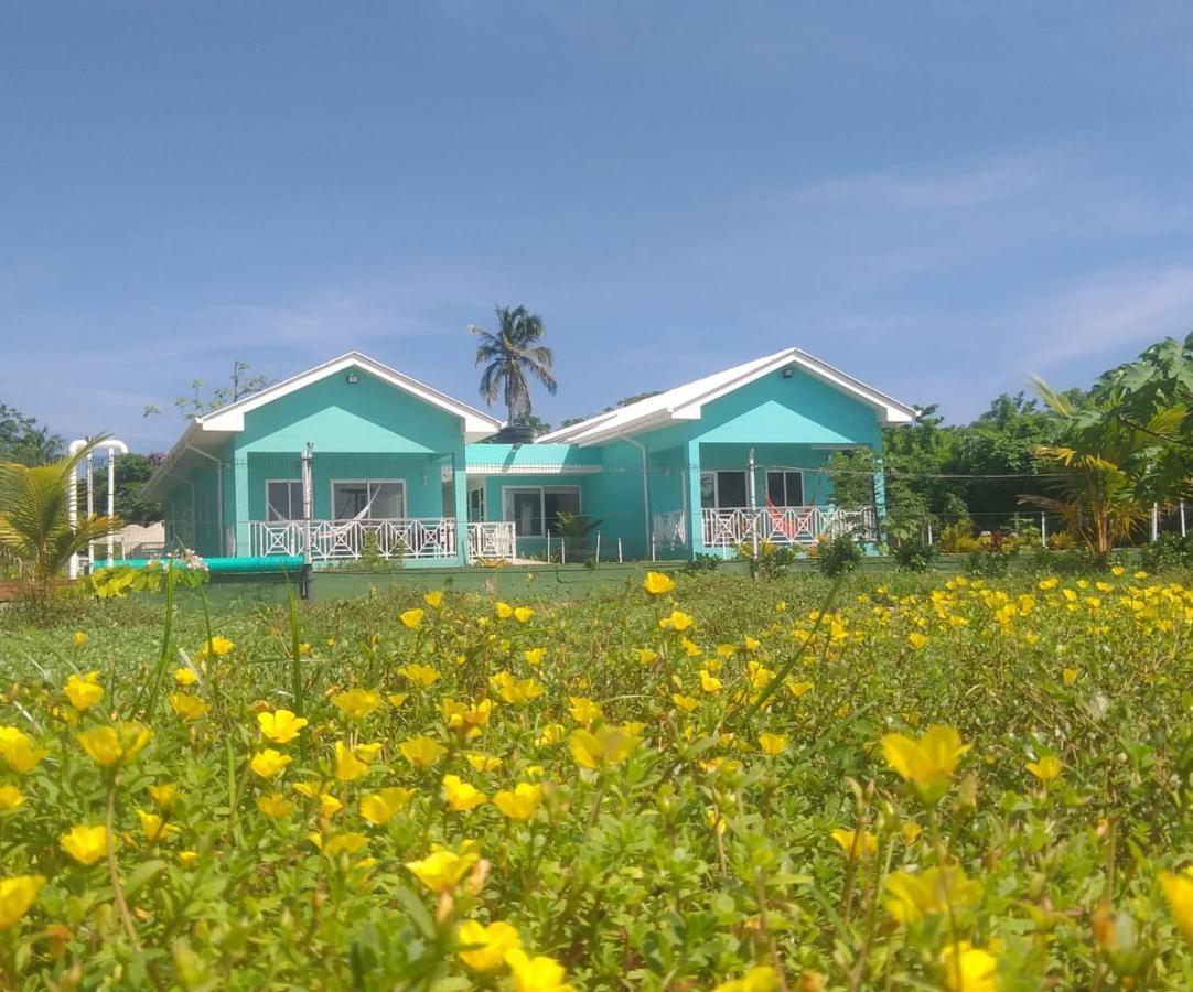 Blue Lizard House Villa San Andrés Buitenkant foto