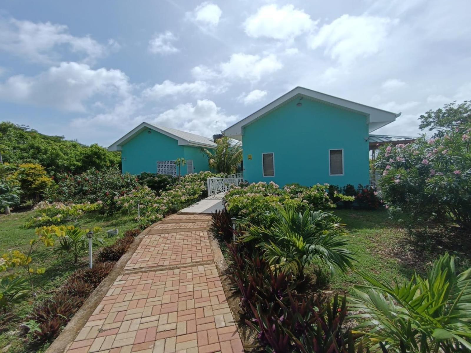 Blue Lizard House Villa San Andrés Buitenkant foto
