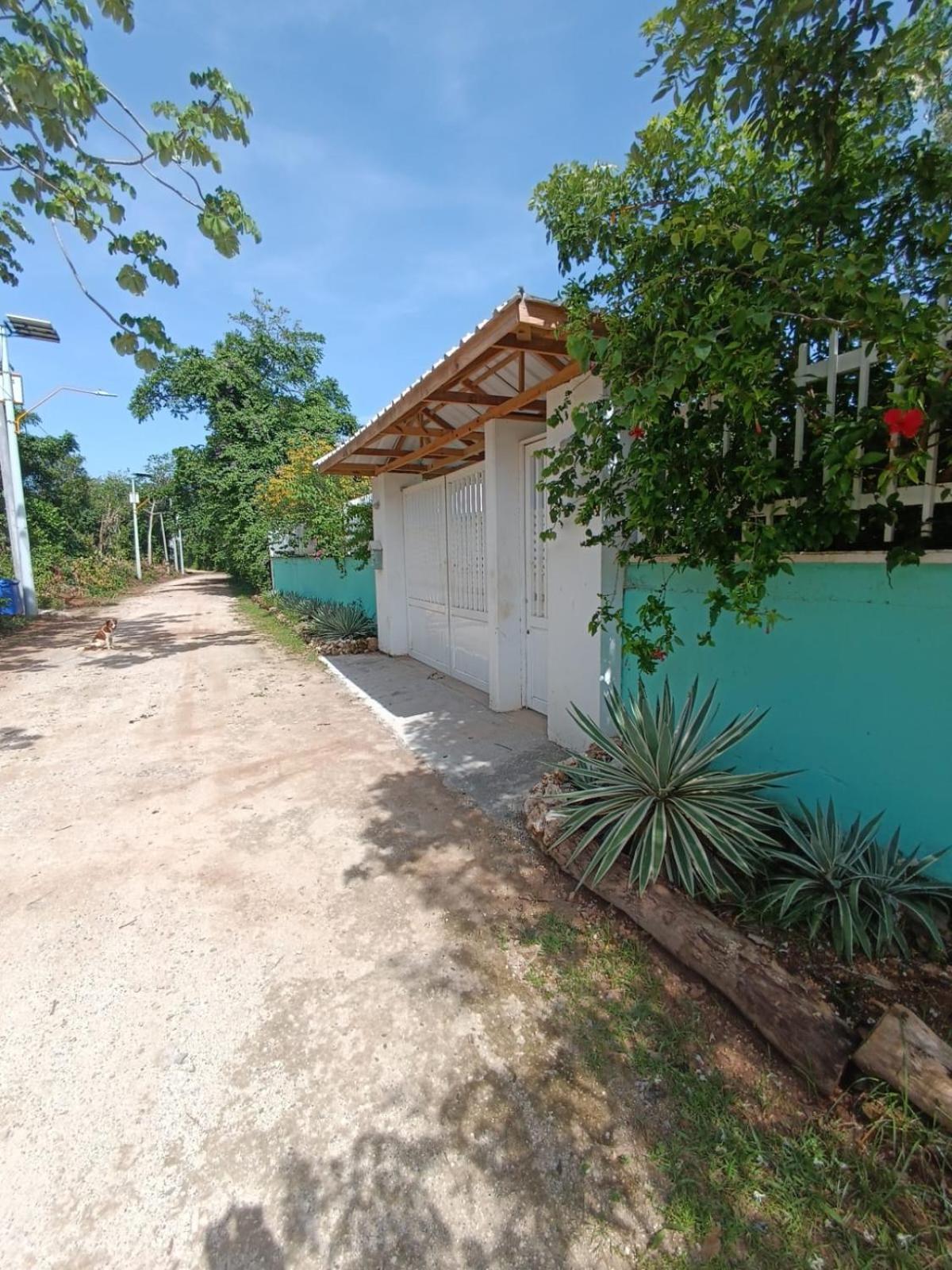 Blue Lizard House Villa San Andrés Buitenkant foto
